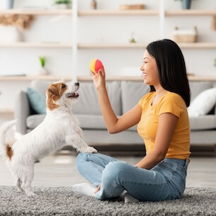 lady playing with dog and ball 