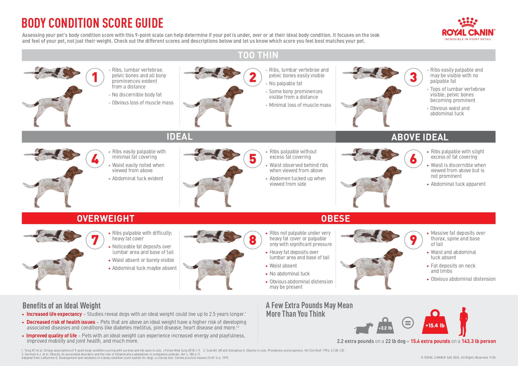 score cards for dogs
