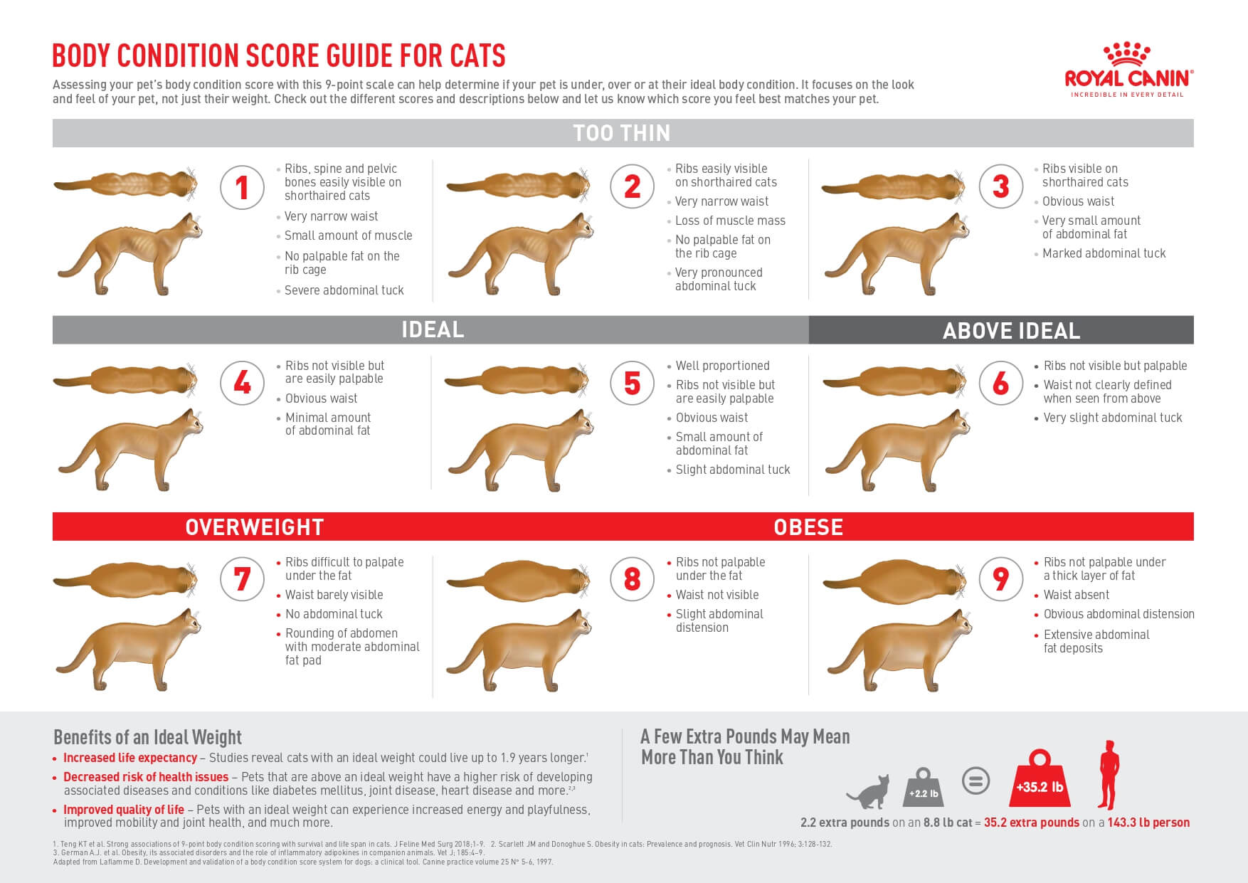 score card for cats