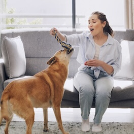 lady playing with dog in her house